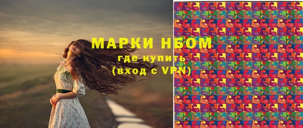 хмурый Алексеевка