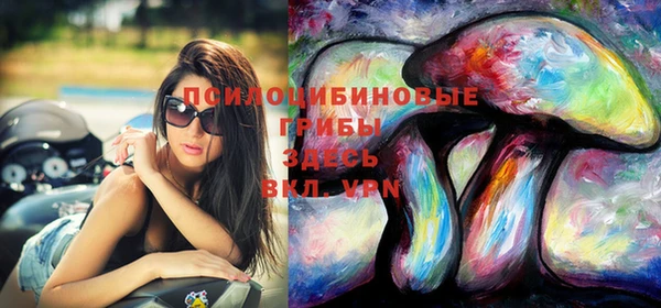 МДПВ Алексин