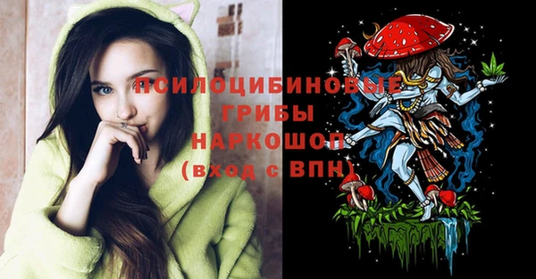 хмурый Алексеевка