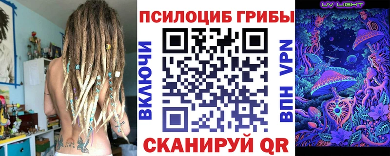 Галлюциногенные грибы Psilocybine cubensis  нарко площадка как зайти  Оленегорск  где купить наркотик  блэк спрут ссылка 